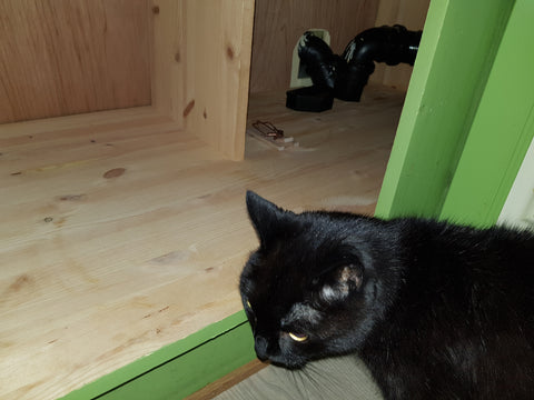 Når Musevisa blir litt vel realistisk