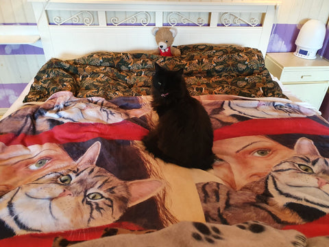 Sagaen om senga til Inga