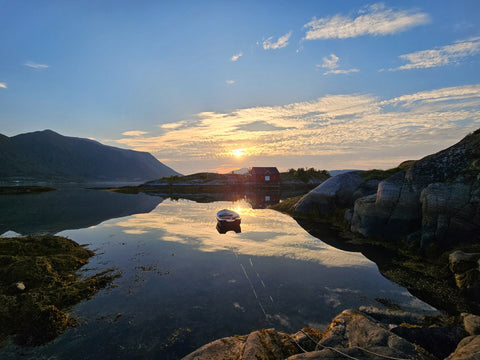 Ingas campingvett-regler