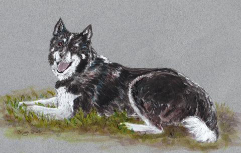 Birk