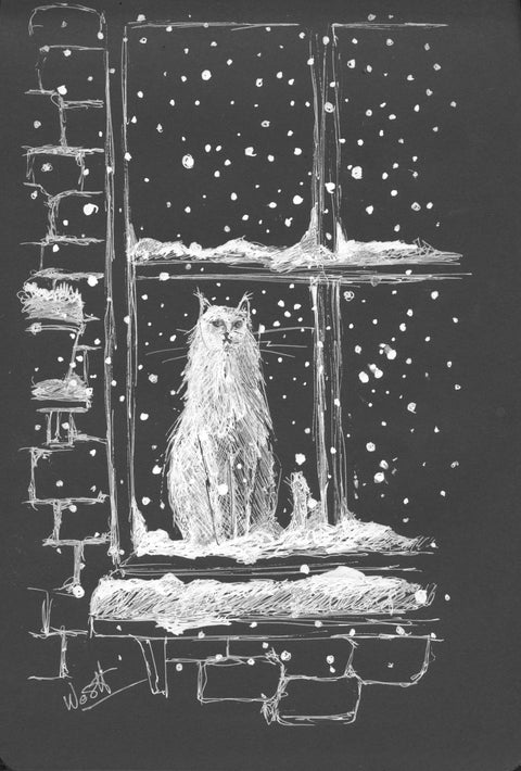 Cat in window, pennetegning