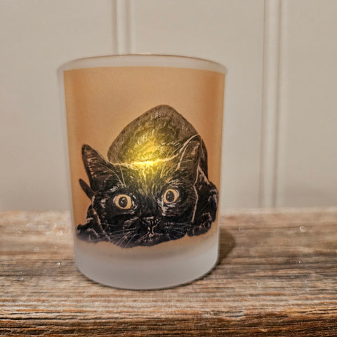 Telysholder Klar til angrep