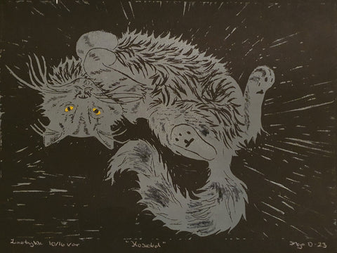 Kosetid
