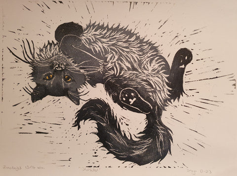 Kosetid