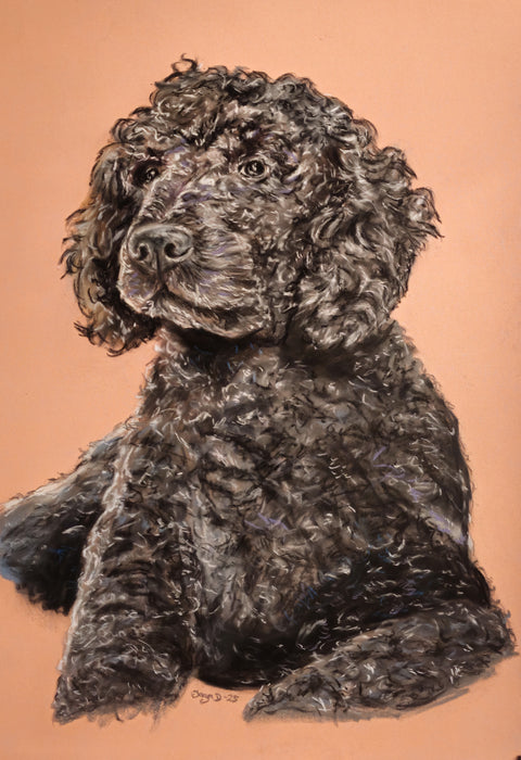 Portrett av folk og dyr