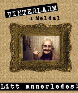 vinterlarm