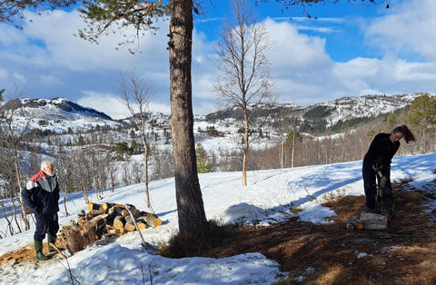 hekta på vedklyving