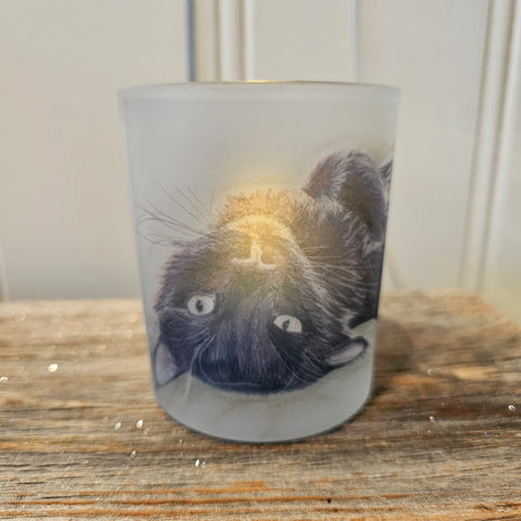 Telysholder Bjartte