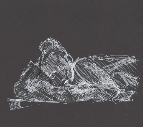 Dreaming, pennetegning
