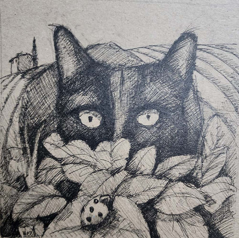 Explore, pennetegning